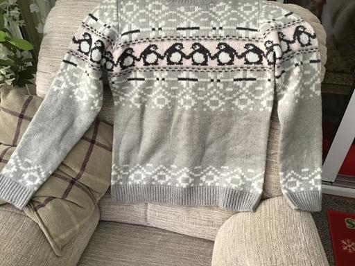 Buy & Sell Essington Wolverhampton - Photos for Christmas jumper ladies size M