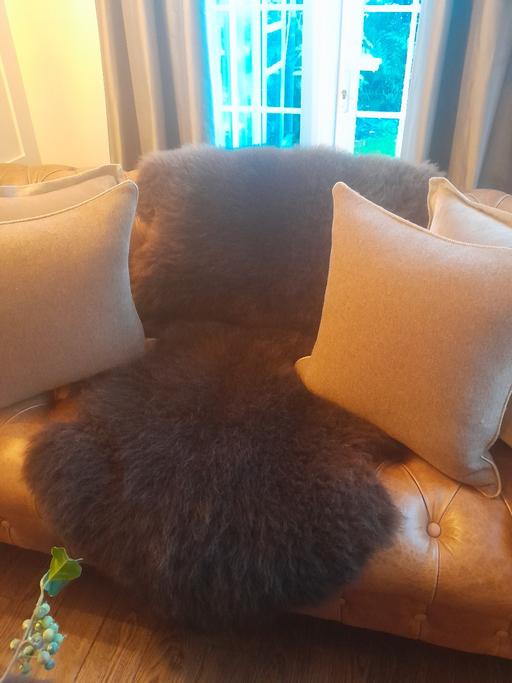 Buy & Sell Middlewich Cheshire East - Photos for Double Sheepskin Rug