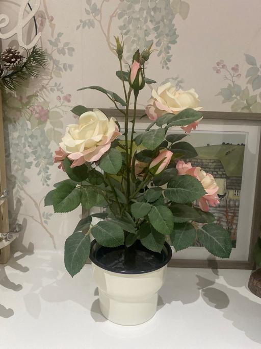 Buy & Sell Ackworth Wakefield - Photos for IKEA rose artificial plant and ikea pot