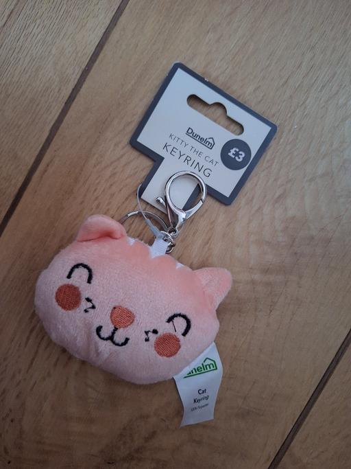 Buy & Sell Ettingshall Park Wolverhampton - Photos for New Cat Keyring