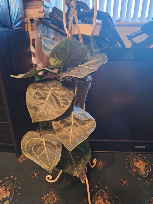 Buy & Sell Fazakerley Knowsley - Photos for New artificial hanging plant