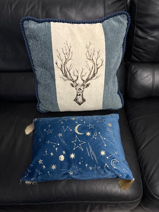 Buy & Sell Woodsetton Dudley - Photos for X2 cushions