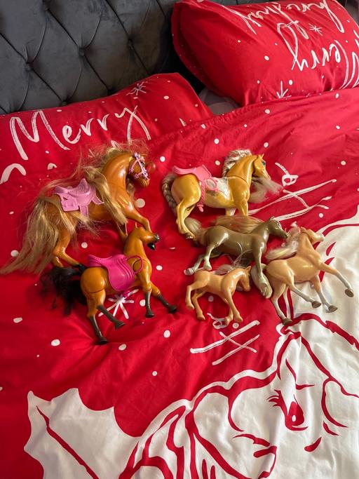 Buy & Sell Walton Liverpool - Photos for bundle horses