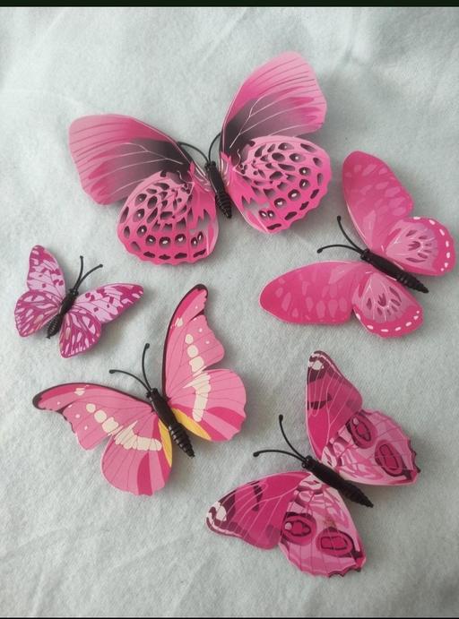 Buy & Sell Grafton Street Industrial Estate West Northamptonshire - Photos for 5 beautiful magnet butterfly