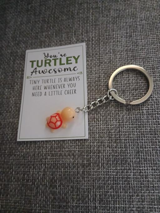 Buy & Sell Bradley Fold Trading Estate Bury - Photos for Turtle Keyring Gift New