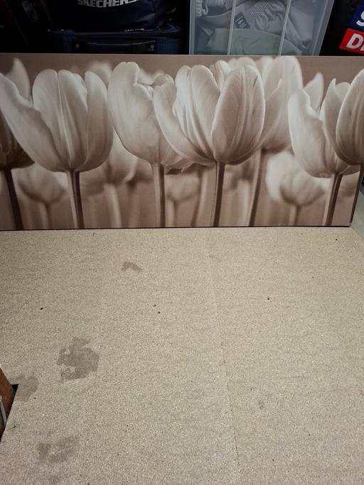 Buy & Sell Danesmoor North East Derbyshire - Photos for canvas