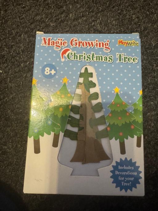 Buy & Sell Blackpool Lancashire - Photos for Magic Tree