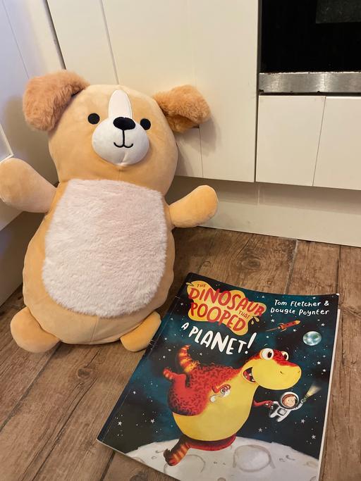 Buy & Sell Rowley Village Sandwell - Photos for Squashy dog Teddy and dinosaur book