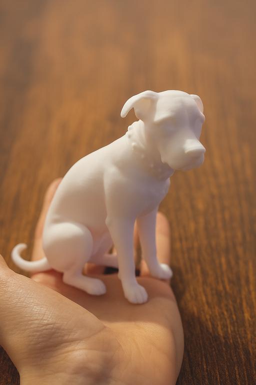 Buy & Sell Nettlesworth County Durham - Photos for Personalized 3D Printed Pet Figurine