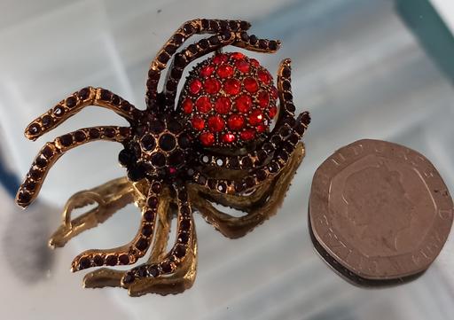 Buy & Sell Thatto Heath Saint Helens - Photos for gemstone spider brooch