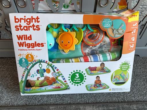 Buy & Sell Littleover Derby - Photos for Bright Starts Wild Wiggles Play Gym