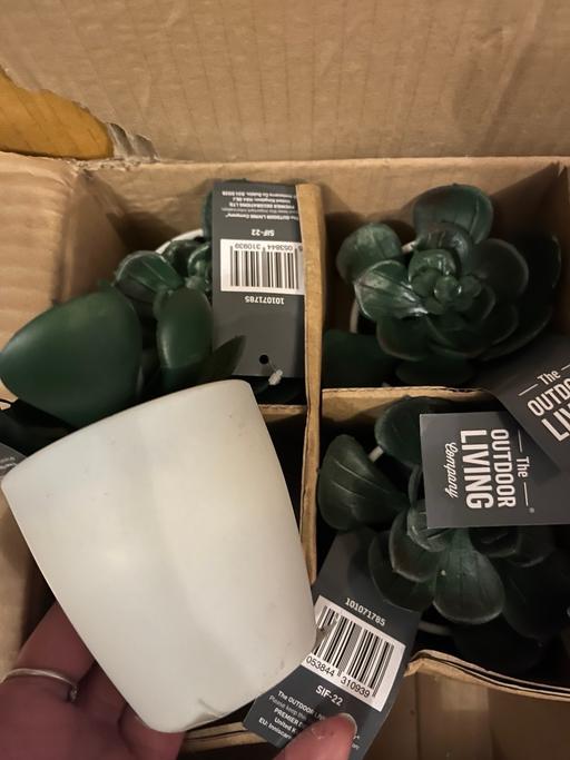Buy & Sell Wednesfield Wolverhampton - Photos for Bundle of four faux succulents 2£ all