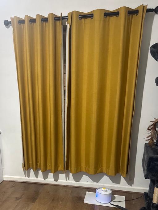 Buy & Sell Newington South East London - Photos for Mustard curtains
