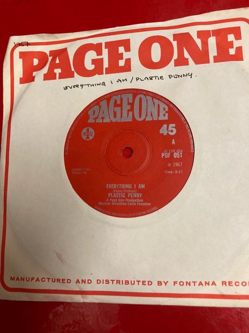 Buy & Sell Clevedon North Somerset - Photos for PLASTIC PRNNY EVERYTHING I AM VINYL