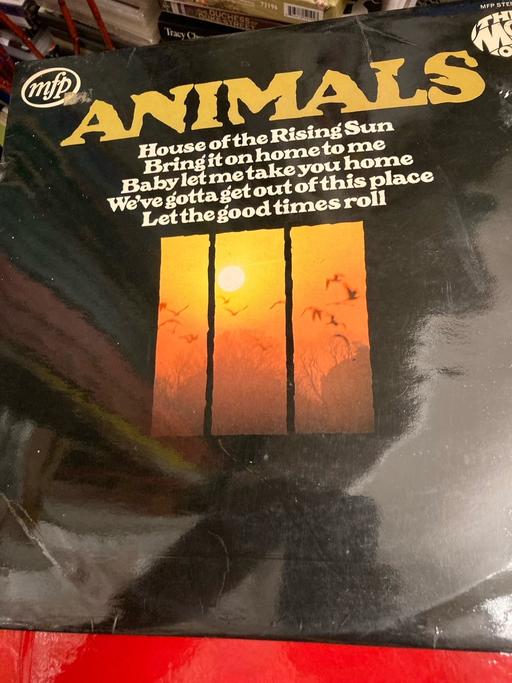 Buy & Sell Clevedon North Somerset - Photos for ANIMALS MOST OF VINYL ALBUM