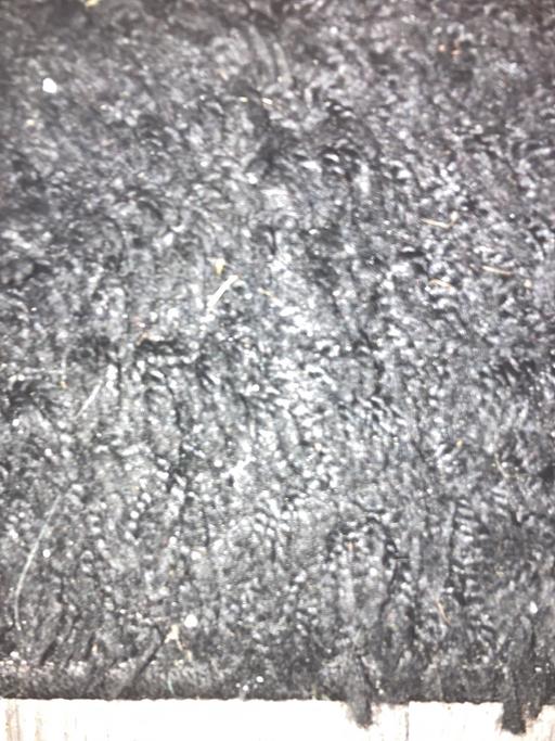 Buy & Sell Sedgley Dudley - Photos for Everything half price today only