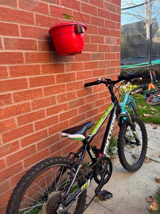 Buy & Sell Hamilton Leicester - Photos for Bike