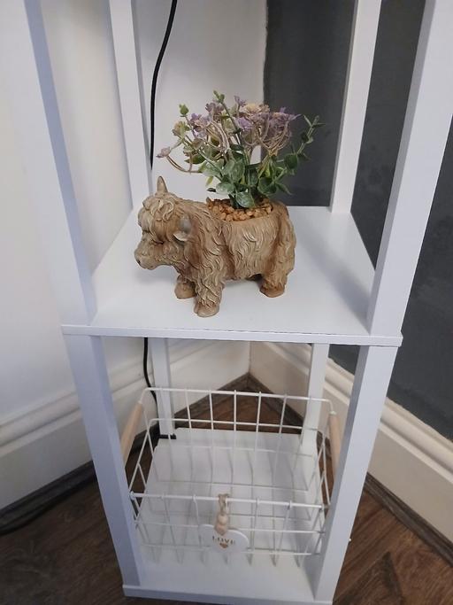 Buy & Sell Bradley Fold Trading Estate Bury - Photos for Highland Cow Artificial Plant New