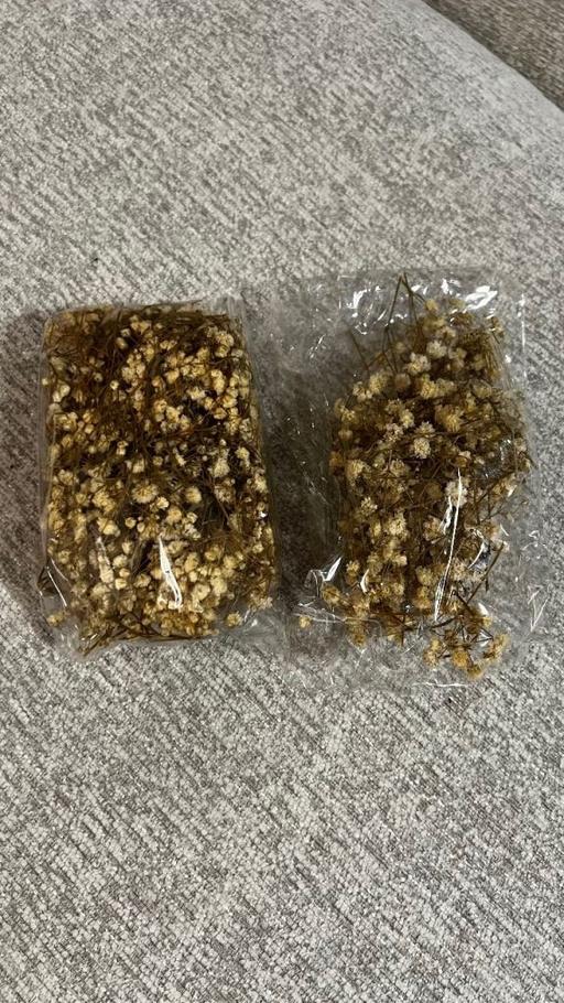 Buy & Sell Birmingham Birmingham - Photos for Gypsophila flower