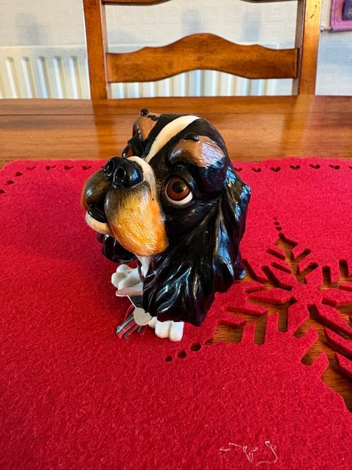 Buy & Sell East Malling Tonbridge and Malling - Photos for Little paws dog