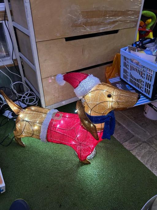 Buy & Sell Winson Green Birmingham - Photos for Christmas dog