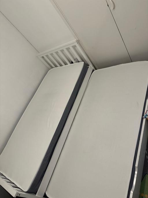 Buy & Sell Ponders End North London - Photos for Single trundle bed with brand new mattresses