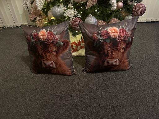 Buy & Sell Billericay Basildon - Photos for Cushions