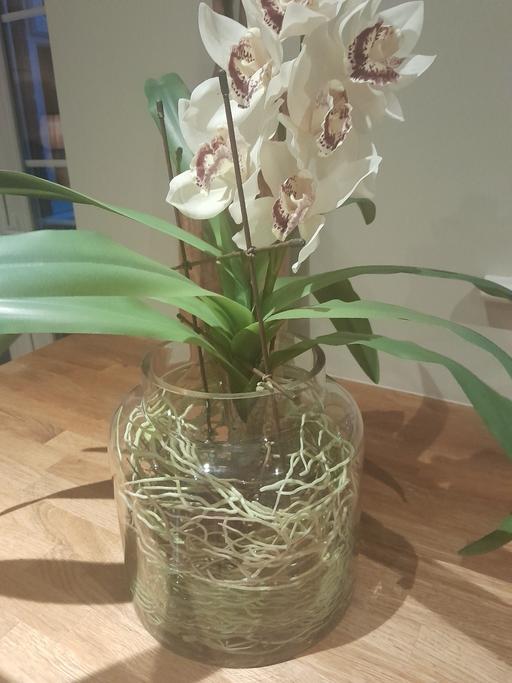 Buy & Sell Middlewich Cheshire East - Photos for OKA Faux Plant