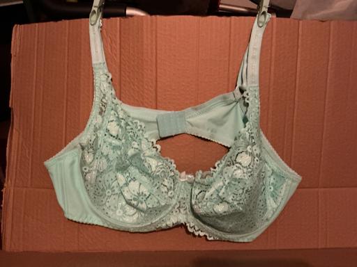 Buy & Sell Pelton Fell County Durham - Photos for Mint bra.