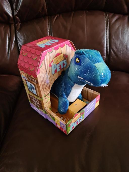 Buy & Sell Hasbury Dudley - Photos for pitter patter pets dinosaur