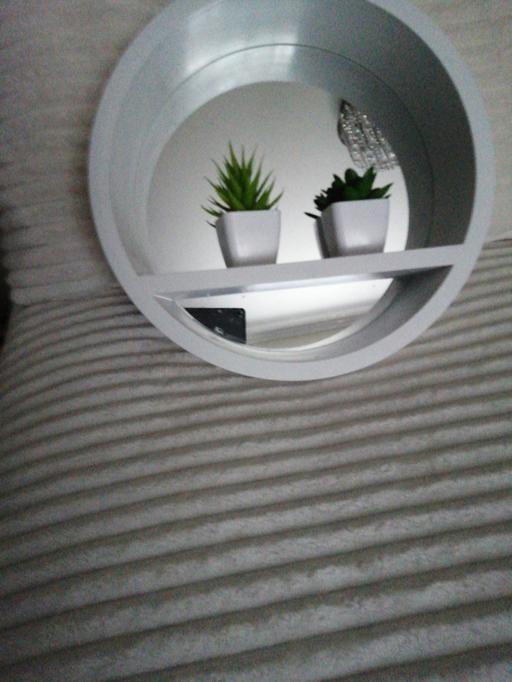 Buy & Sell Wednesfield Wolverhampton - Photos for Hanging mirror with 2 miniature plastic plant