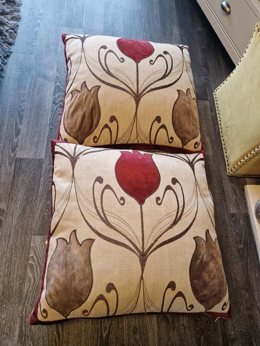 Buy & Sell Scholes Rotherham - Photos for 2 very large cushions, Dunelm ,