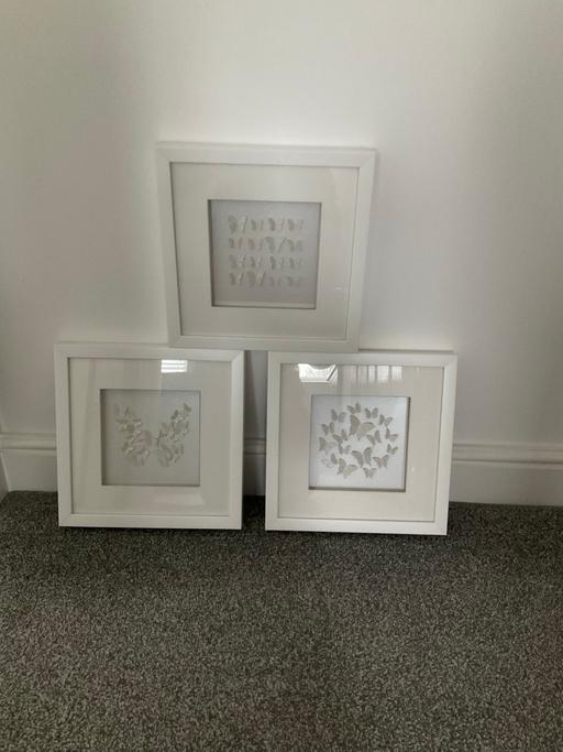 Buy & Sell Telford Way Industrial Estate North Northamptonshire - Photos for 3 x 3 D effect butterfly 🦋 box frame pic