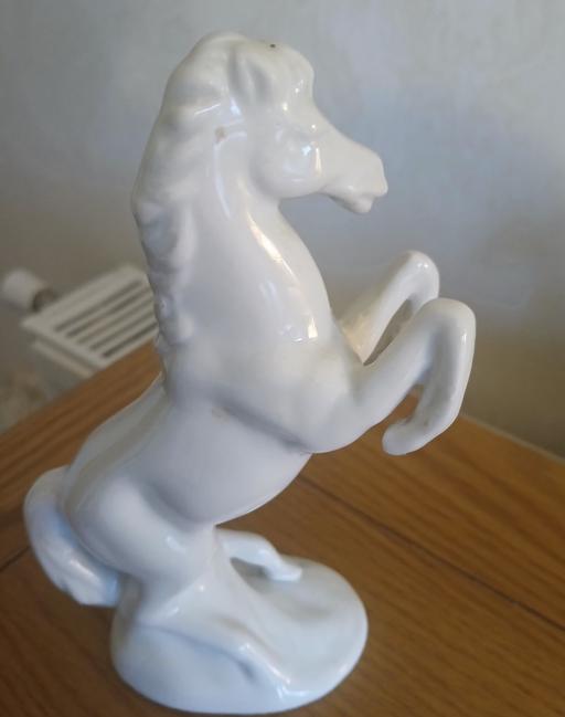 Buy & Sell Beeston Broxtowe - Photos for China Horse )