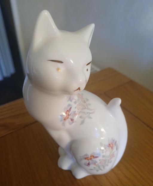 Buy & Sell Beeston Broxtowe - Photos for China Cat )