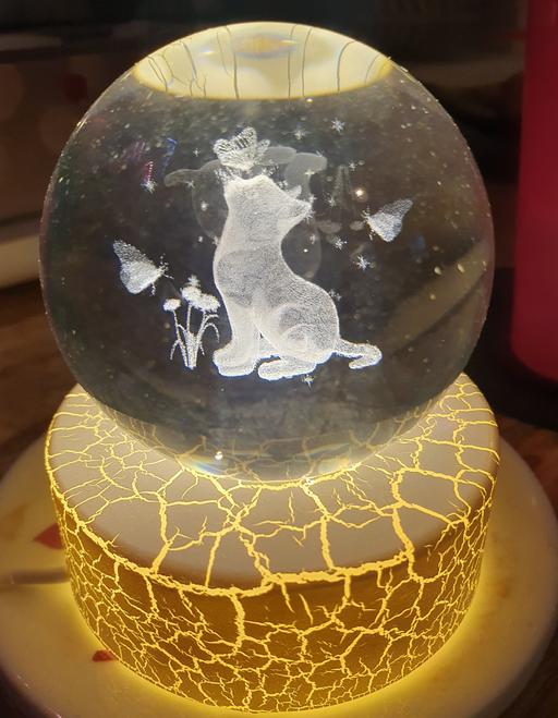 Buy & Sell Horwich Bolton - Photos for Glass Cat Light