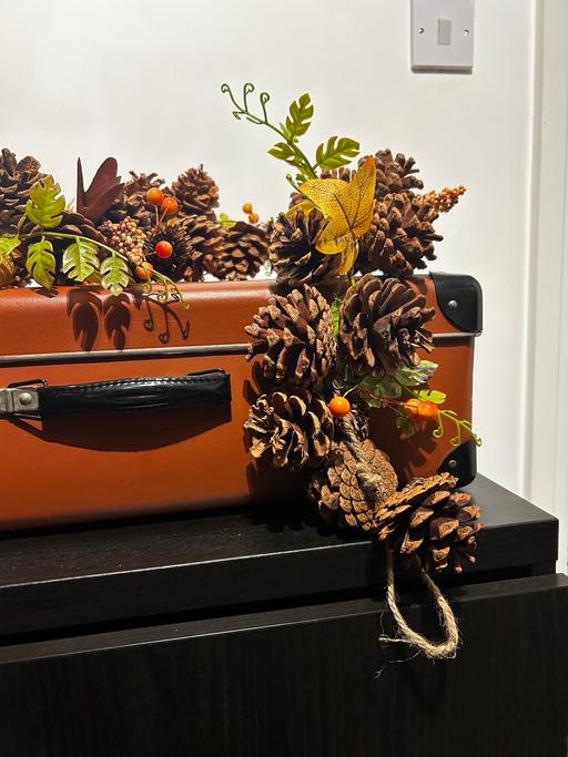 Buy & Sell Lowton Wigan - Photos for Pine cone- Autumnal Garland