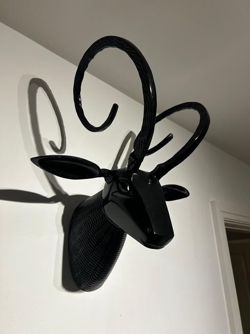 Buy & Sell Stone Cross Park Wigan - Photos for RAMS Head Metal Sculpture