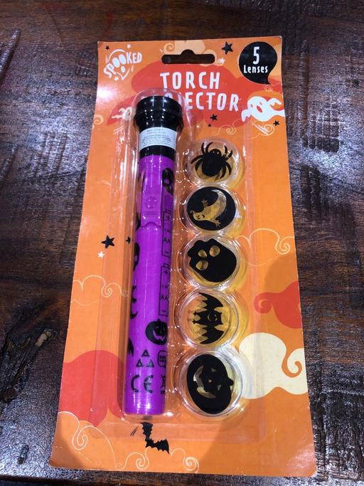 Buy & Sell Turnford Broxbourne - Photos for TORCH PROJECTOR