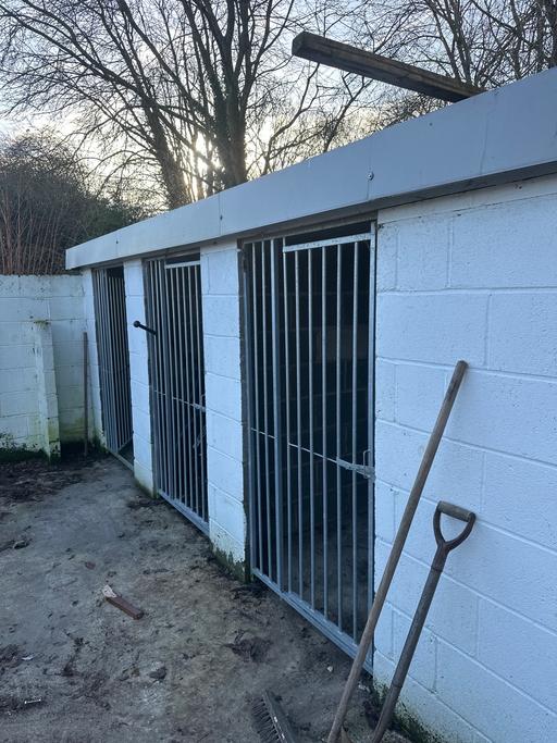 Buy & Sell Scawsby Doncaster - Photos for Dog pen doors x3 £50 each