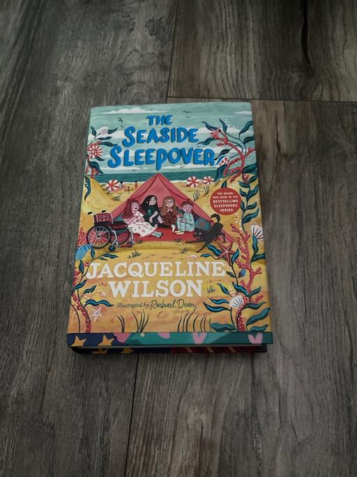 Buy & Sell Becontree East London - Photos for The seaside sleepover book