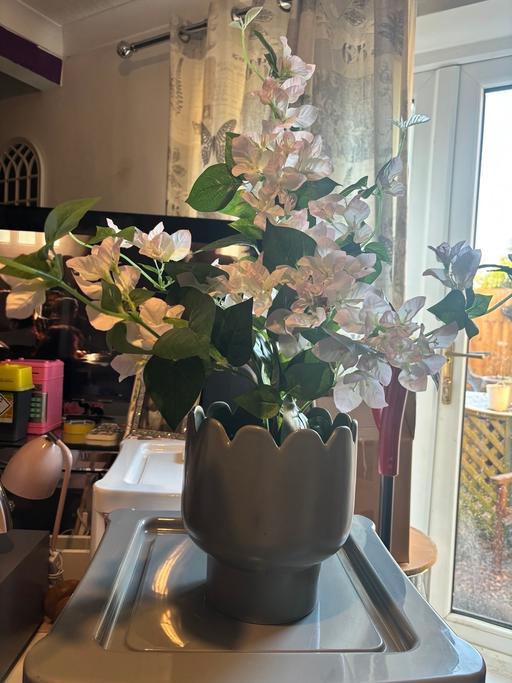 Buy & Sell Weoley Castle Birmingham - Photos for Flowers in green pot