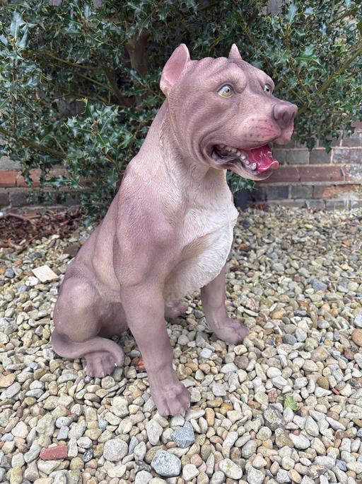 Buy & Sell Preston Crowmarsh South Oxfordshire - Photos for Large XL Bully Ornament, Statue