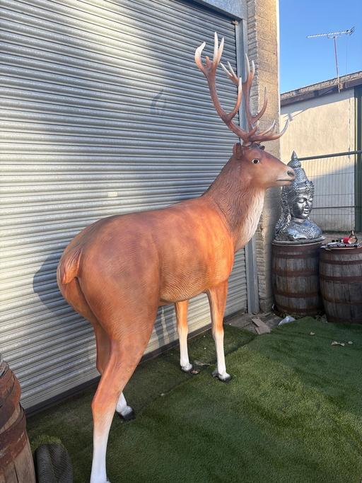 Buy & Sell Preston Crowmarsh South Oxfordshire - Photos for Huge Stag 270cm tall (9ft) Garden Statue