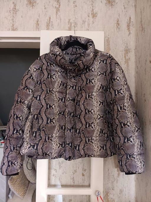 Buy & Sell Hornchurch Havering - Photos for reptile puffer jacket xl