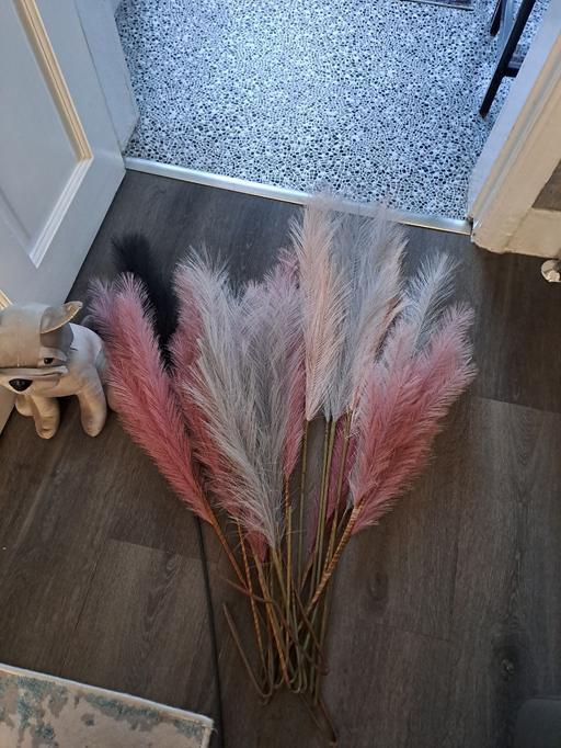 Buy & Sell Gleadless Valley Sheffield - Photos for large bunch feathers