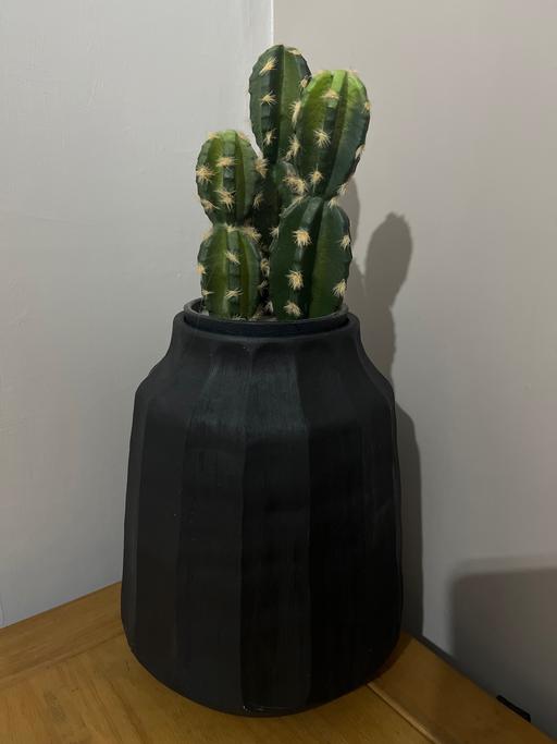 Buy & Sell Conisbrough Doncaster - Photos for Black vase and artificial cactus