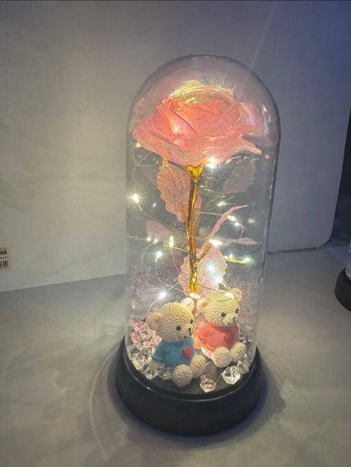 Buy & Sell Heywood Rochdale - Photos for Led Pink rose