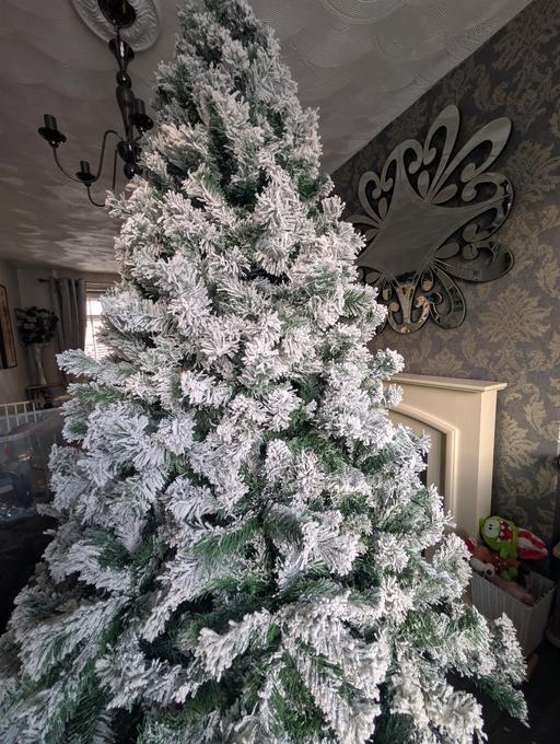 Buy & Sell Thatto Heath Saint Helens - Photos for Xmas tree