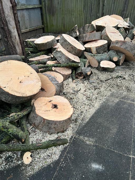 Buy & Sell Hall Green Birmingham - Photos for Tree cutting and removal and hedges cutting